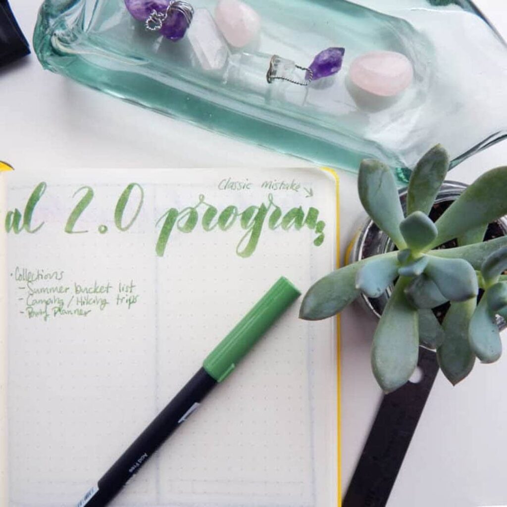 succulent sitting next to a bullet journal